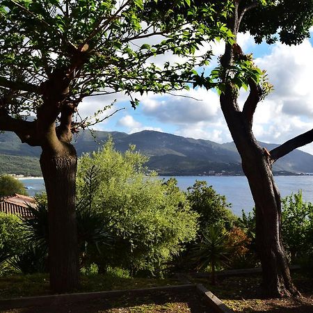 Villa Le Relais De Tiuccia Casaglione Exterior foto
